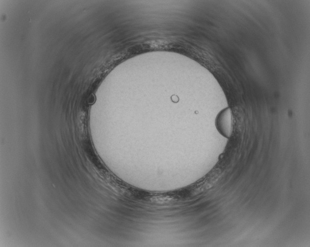 X0000067520650200605051855