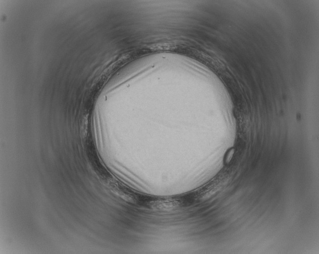 X0000067520652200605051855