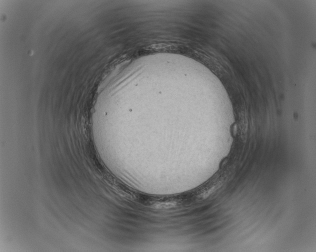 X0000067520653200605051855