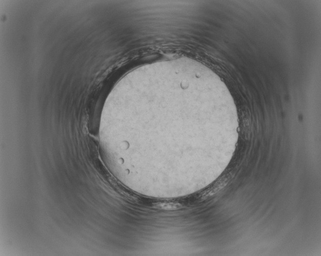 X0000067520654200605051856