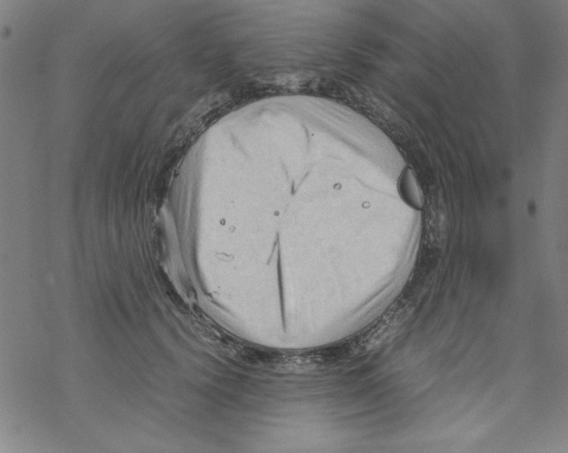 X0000067520656200605051856