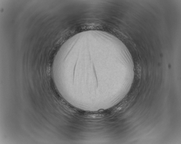 X0000067520657200605051856