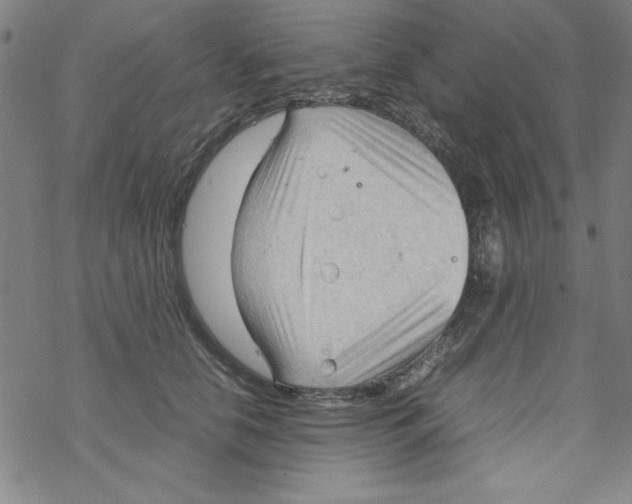 X0000067520658200605051856