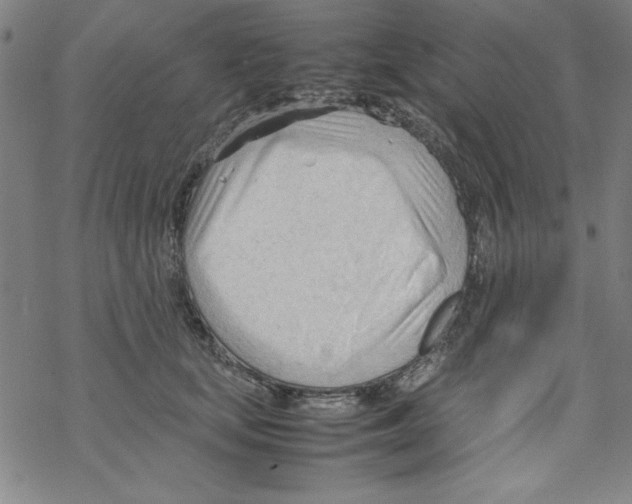 X0000067520659200605051856