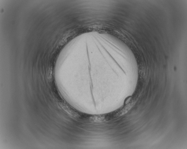 X0000067520660200605051856