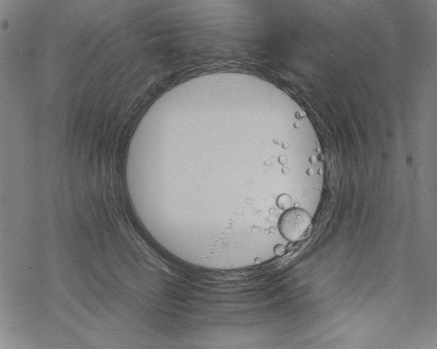 X0000067520662200605051856