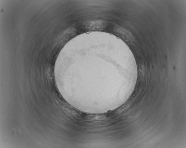 X0000067520663200605051856