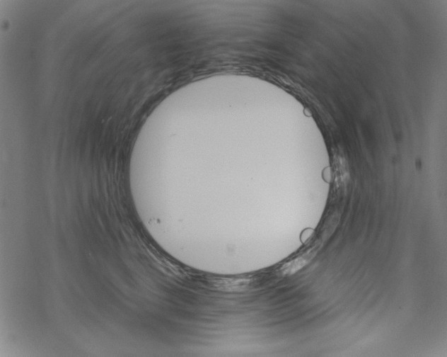 X0000067520664200605051856