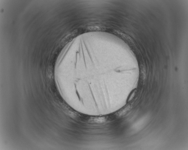 X0000067520665200605051856