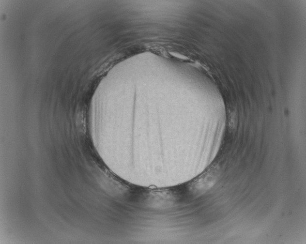 X0000067520666200605051856