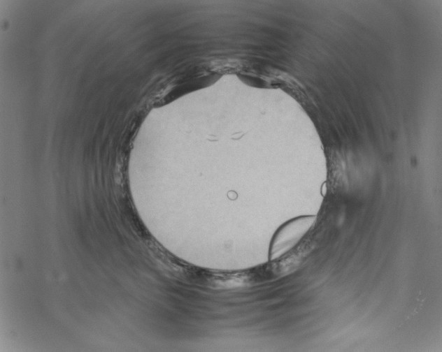 X0000067520667200605051856