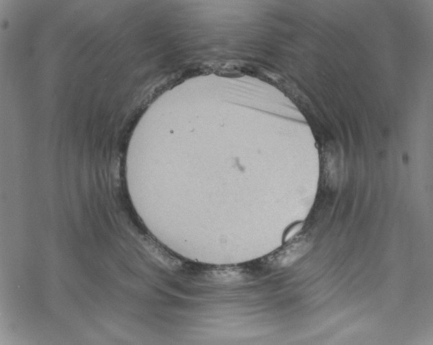 X0000067520668200605051856