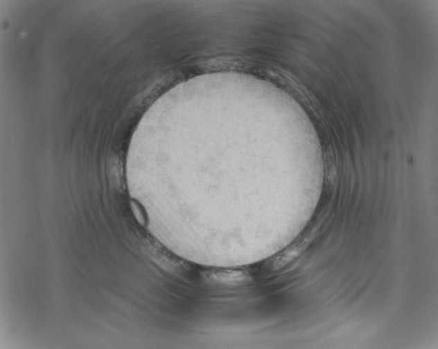 X0000067520669200605051856