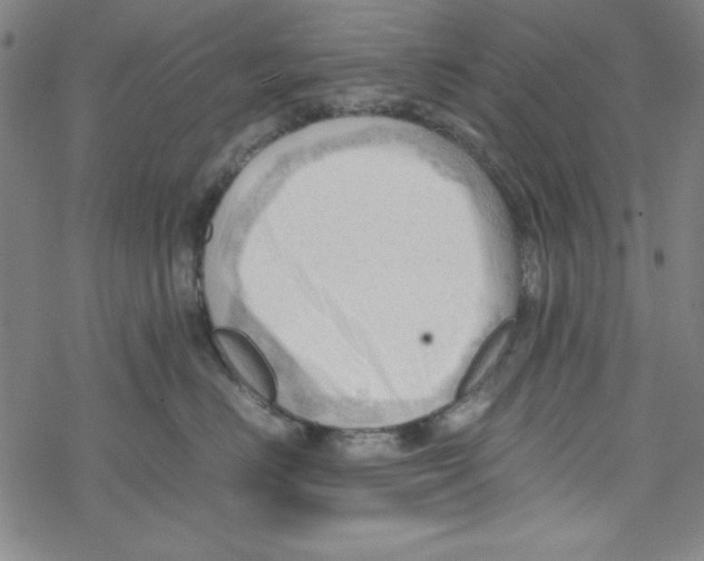 X0000067520670200605051856