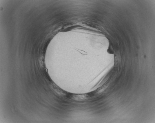 X0000067520671200605051856