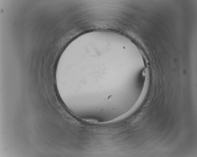 X0000067520673200605051855