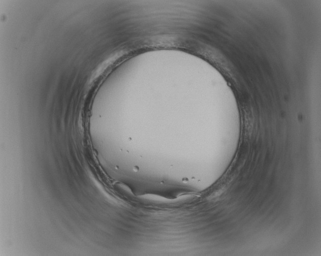 X0000067520674200605051855