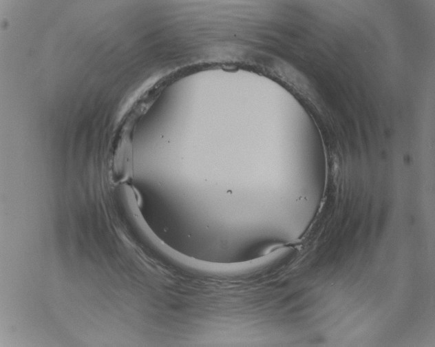 X0000067520676200605051855