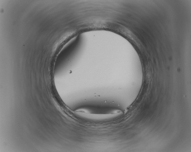 X0000067520677200605051855