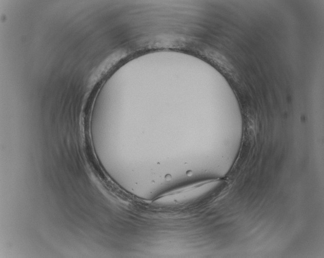 X0000067520678200605051855