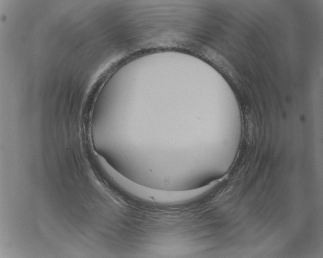 X0000067520680200605051855