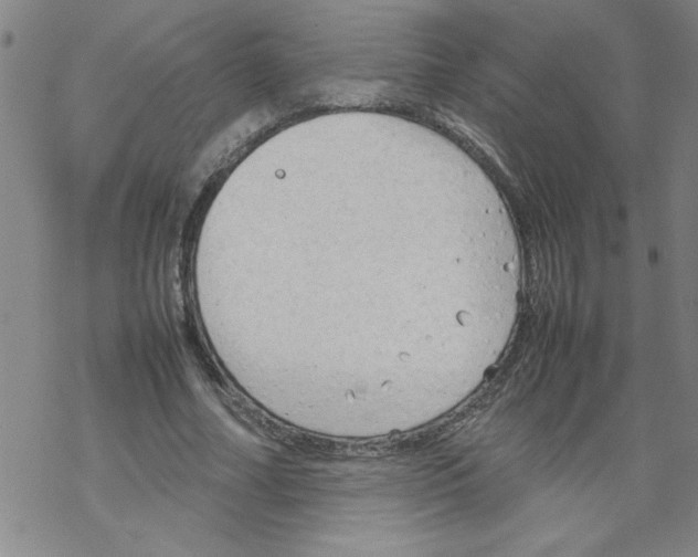 X0000067520682200605051855