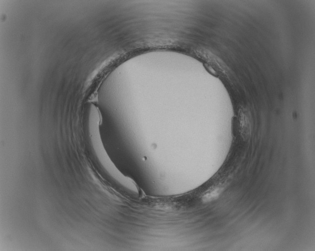 X0000067520684200605051855