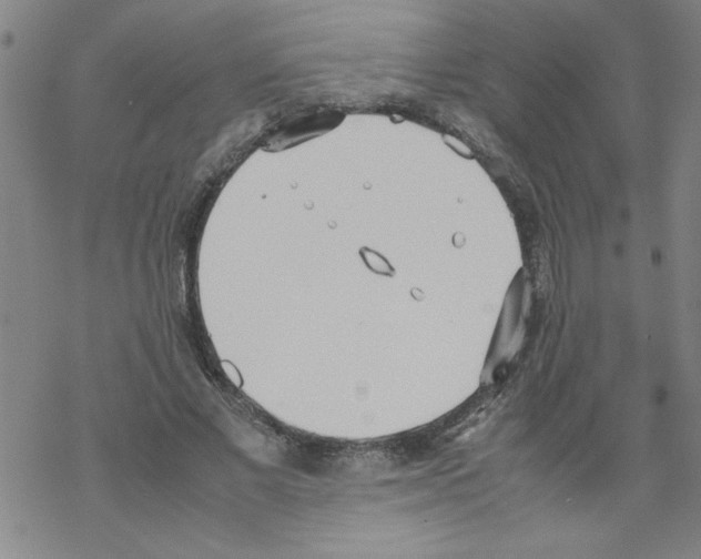 X0000067520685200605051855