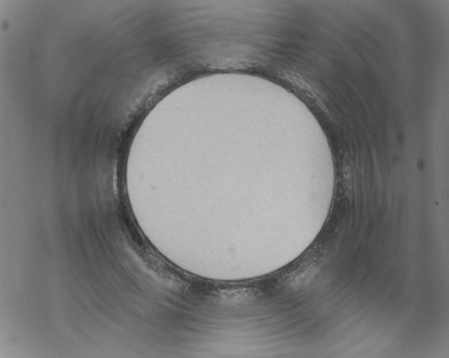 X0000067520686200605051855