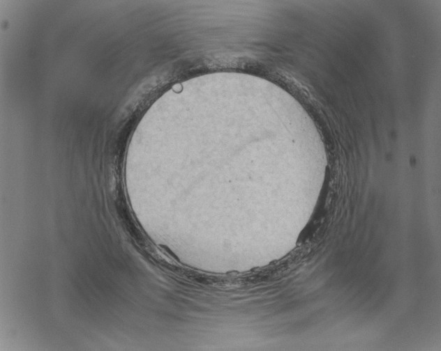 X0000067520687200605051855