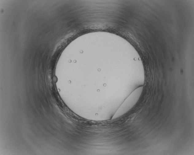 X0000067520688200605051855