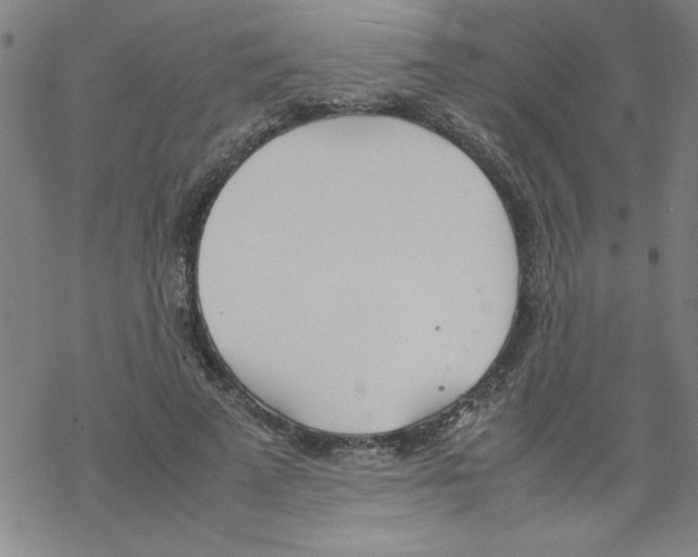 X0000067520689200605051855