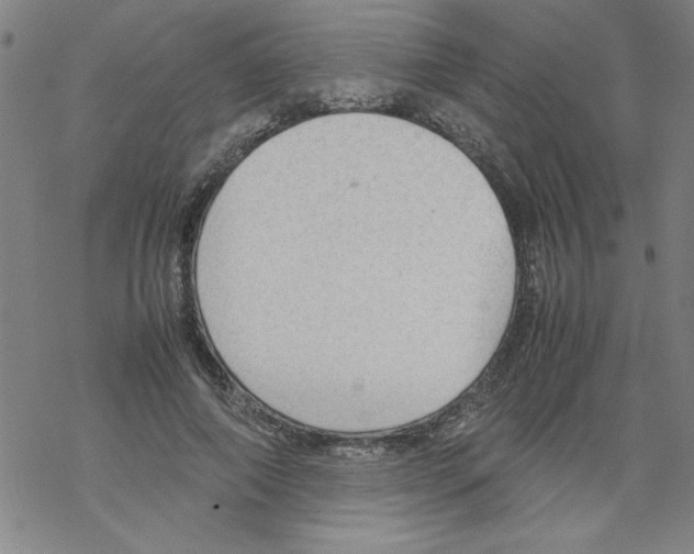 X0000067520690200605051855