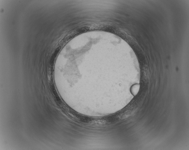 X0000067520691200605051855