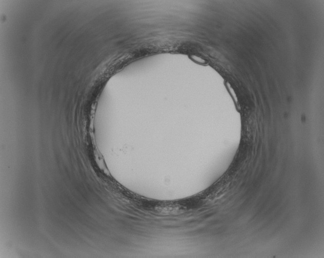 X0000067520693200605051855