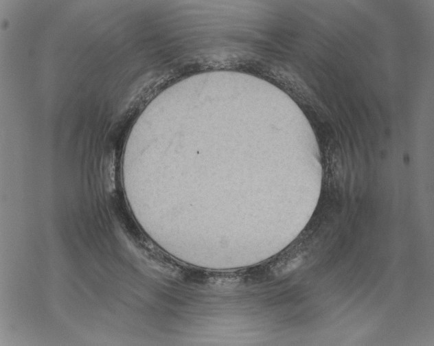 X0000067520694200605051855