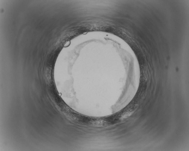 X0000067520695200605051855