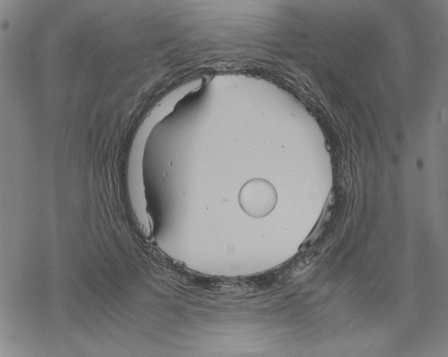 X0000067520697200605051855