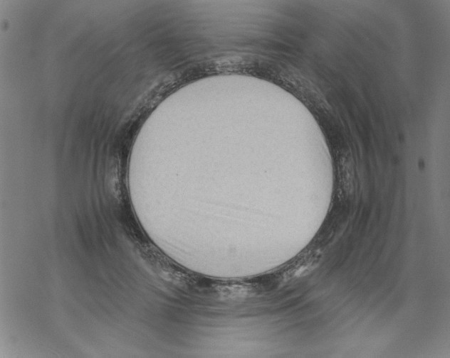 X0000067520698200605051855