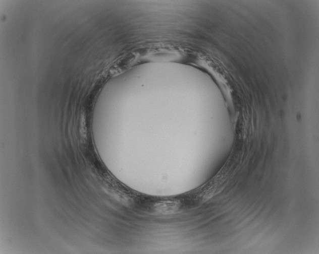 X0000067520700200605051855