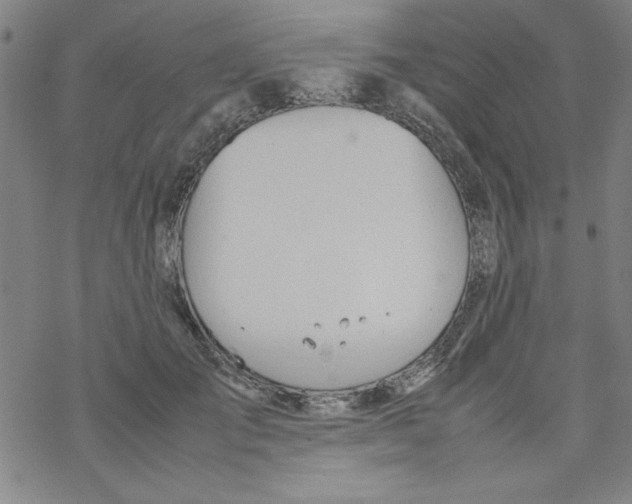 X0000067520701200605051855