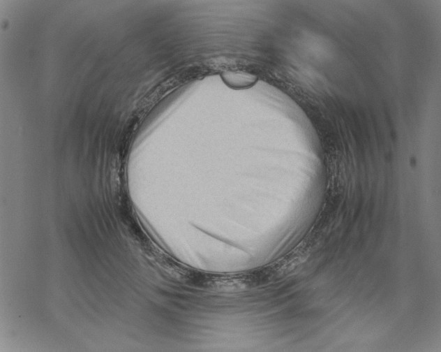 X0000067520702200605051855