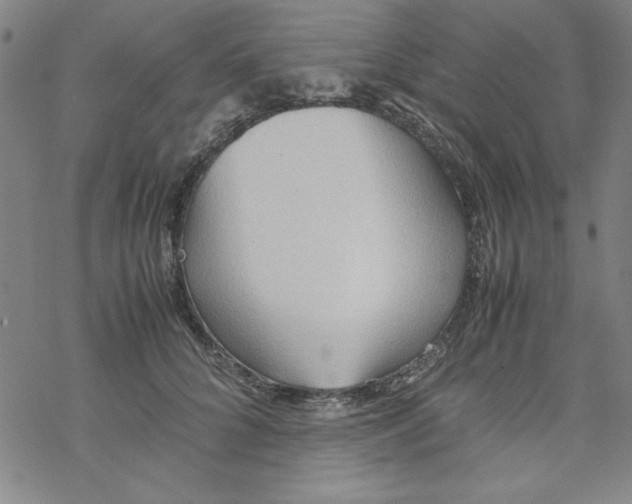 X0000067520704200605051855