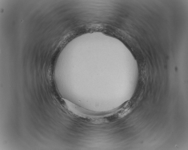 X0000067520708200605051854