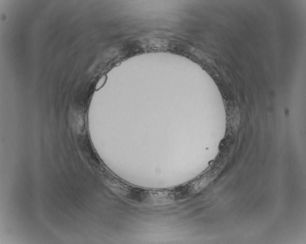 X0000067520709200605051854