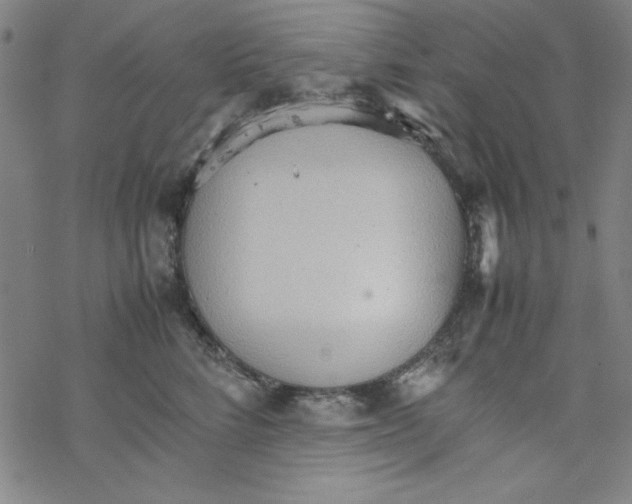 X0000067520712200605051854