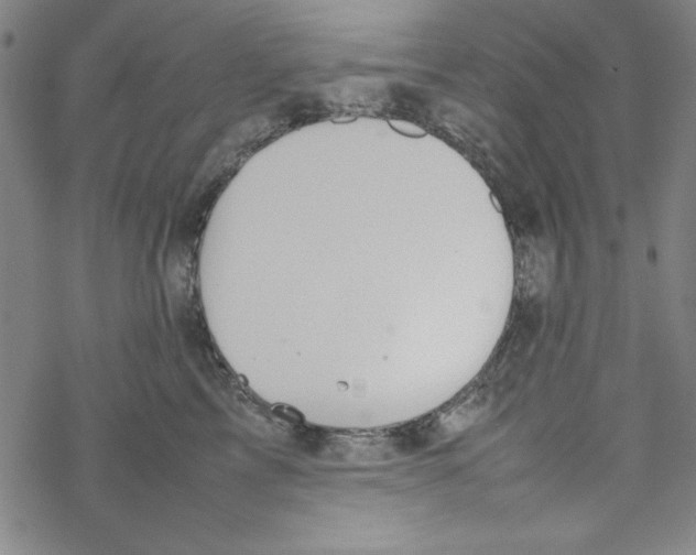 X0000067520713200605051854