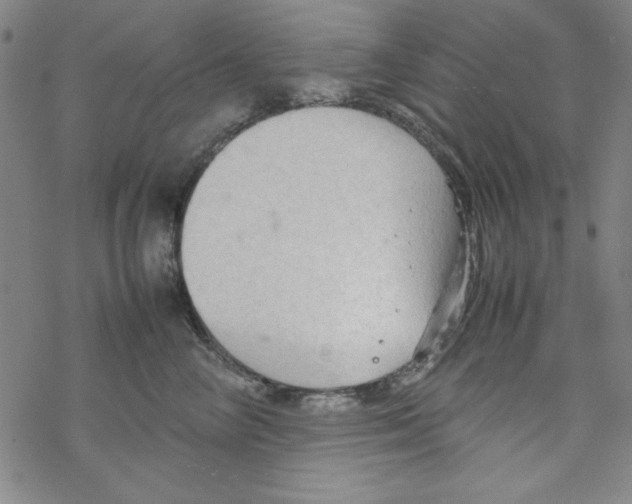 X0000067520714200605051854