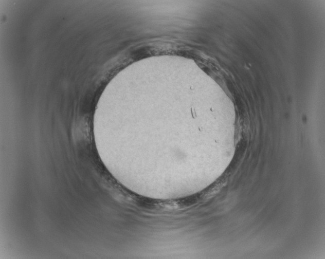 X0000067520715200605051854