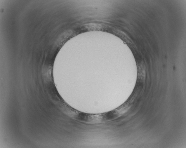 X0000067520717200605051854